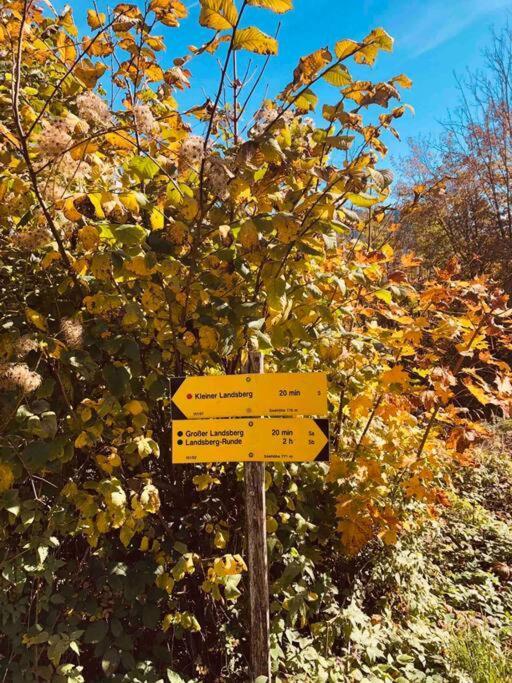 Ferienhof Am Landsberg Obergrünburg Kültér fotó
