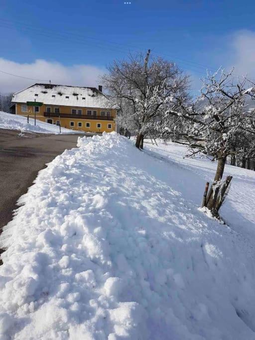 Ferienhof Am Landsberg Obergrünburg Kültér fotó